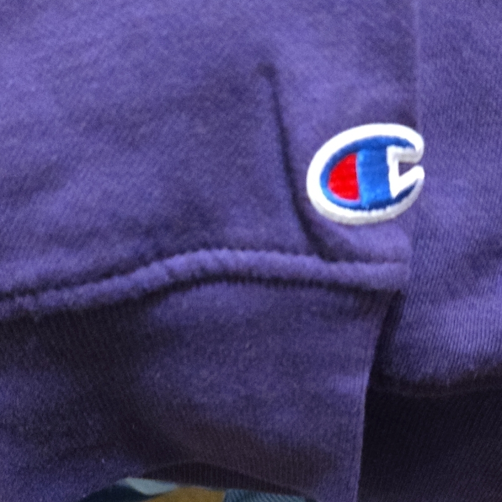 Champion Purple TCU Texas Christian University Horned Frogs Crewneck Sw… - Picture 4 of 6
